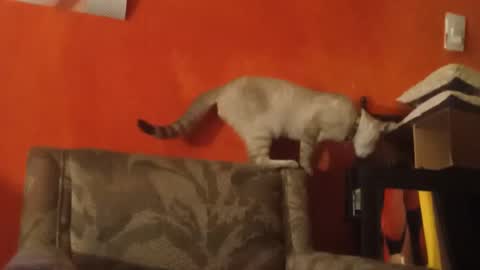 lanasexyass online show from 03-23-26, 08:02