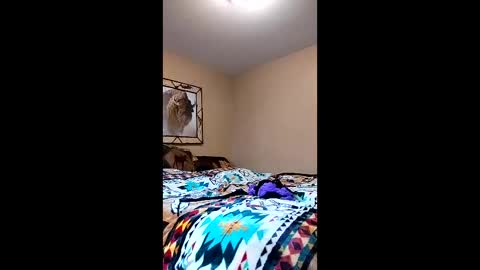 langederek2 online show from 03-26-26, 08:58