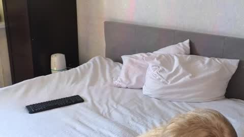 LarineGMT7  UTC6  online show from 04-11-26, 07:35