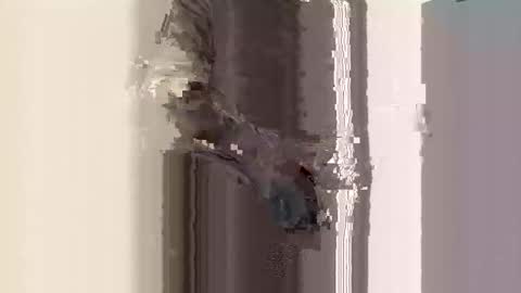 Latinabunnyxxx online show from 10-04-25, 08:23