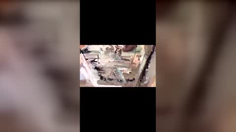 Snapshot of latinbulldaddy88036 chatting on 03-09-26, 09:08 latinbulldaddy88036 online show from 03-09-26, 09:08