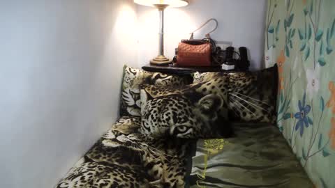 Snapshot of laureen_gavh chatting on 02-02-25, 08:13 Belle online show from 02-02-25, 08:13