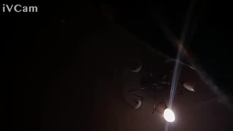 Snapshot of laydayy chatting on 01-12-26, 10:37 laydayy online show from 01-12-26, 10:37