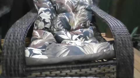 kelly online show from 12-21-25, 01:13