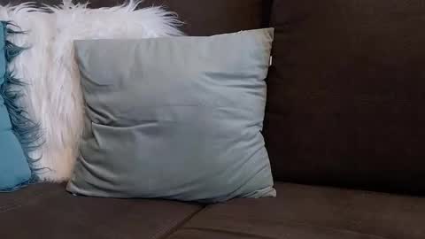 Snapshot of lazlow2000 chatting on 01-07-26, 07:44 lazlow2000 online show from 01-07-26, 07:44