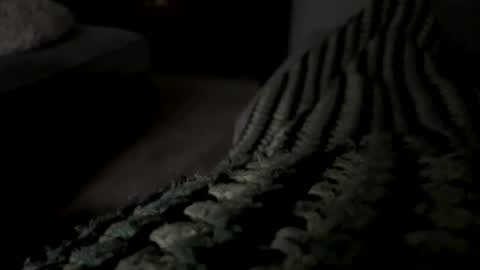 lc6173 online show from 12-15-25, 08:13