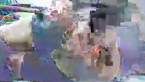 ldm0510 online show from 05-30-26, 01:57