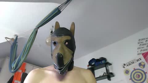 Leather Dog online show from 07-08-26, 09:14