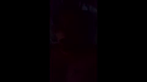 leemo2021 online show from 05-20-26, 08:42