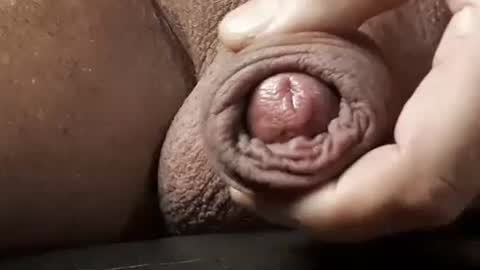 legofactory online show from 02-13-25, 04:54