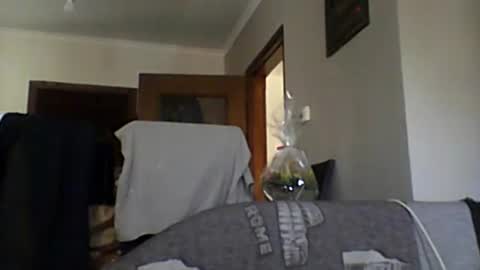 Snapshot of lelshop chatting on 12-08-24, 09:57 lelshop online show from 12-08-24, 09:57