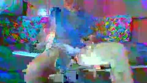 SEX  MASTER online show from 01-15-26, 01:43