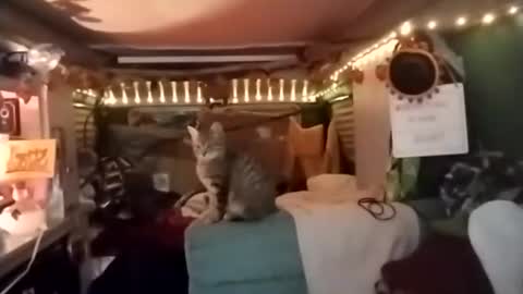 LesleyGumGrass- The Boring Trans girl online show from 12-18-25, 03:56