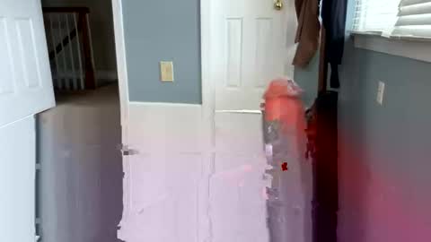 letmecumforyou71 online show from 03-04-26, 06:14