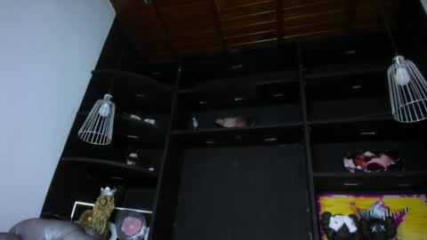 Snapshot of levy_steve chatting on 02-16-25, 01:27 LevySteven online show from 02-16-25, 01:27