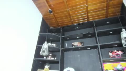 Snapshot of levy_steve chatting on 02-19-25, 10:23 LevySteven online show from 02-19-25, 10:23