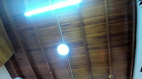 Snapshot of levy_steve chatting on 11-23-25, 03:28 LevySteven online show from 11-23-25, 03:28