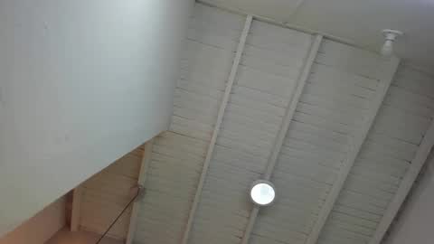 Snapshot of levy_steve chatting on 11-24-25, 12:43 LevySteven online show from 11-24-25, 12:43