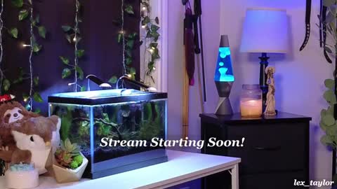 Snapshot of lex_taylor chatting on 01-07-25, 03:46 Lex online show from 01-07-25, 03:46