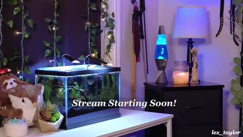 Snapshot of lex_taylor chatting on 02-17-25, 04:04 Lex online show from 02-17-25, 04:04