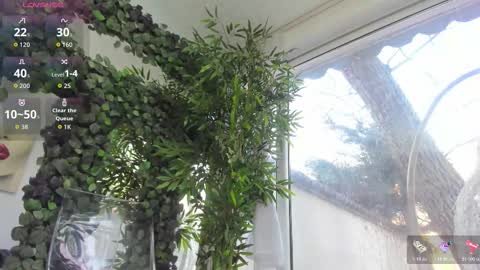 lexi_storm online show from 02-12-26, 08:09