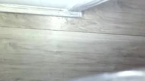 Snapshot of lezbeehonest100 chatting on 05-14-26, 11:06 Olive Pena online show from 05-14-26, 11:06