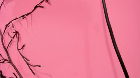 Liam online show from 01-18-26, 03:10