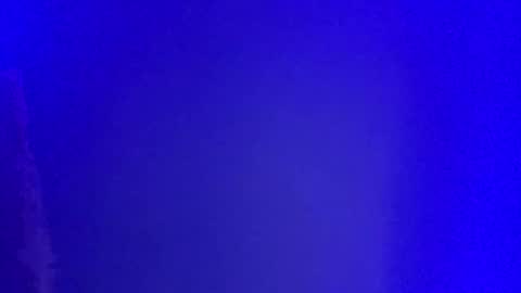 Snapshot of lickyouryoni chatting on 01-01-25, 02:52 LickYourYoni online show from 01-01-25, 02:52