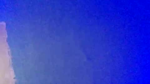 Snapshot of lickyouryoni chatting on 02-22-25, 03:36 LickYourYoni online show from 02-22-25, 03:36