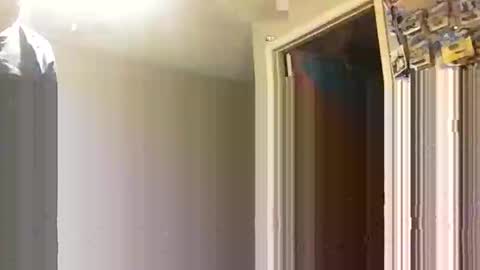 lie2ne online show from 11-16-25, 03:50