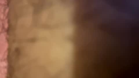 lightbulb444555 online show from 09-17-25, 04:25