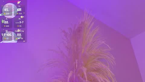 Liiam Luna online show from 03-17-26, 09:01