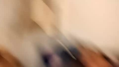 likdatass69247 online show from 12-28-24, 06:28