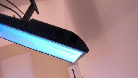 L I L A   online show from 03-30-26, 04:35