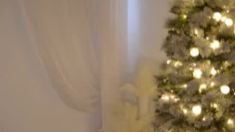 Rebecca online show from 12-17-25, 06:03