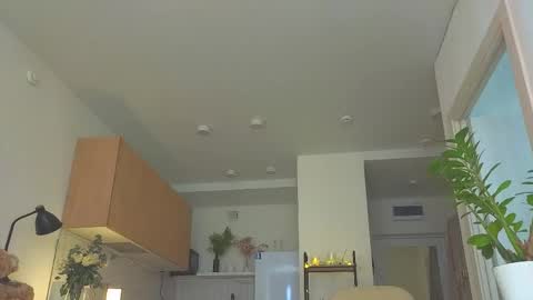 lili__roze_ online show from 04-13-26, 05:24