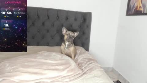 Snapshot of lilith_parker chatting on 02-09-25, 04:14 Lilith Parker online show from 02-09-25, 04:14