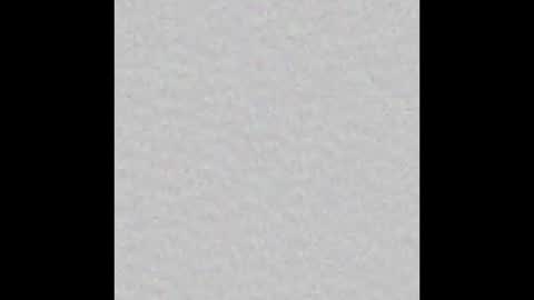 Lily online show from 10-19-25, 12:39