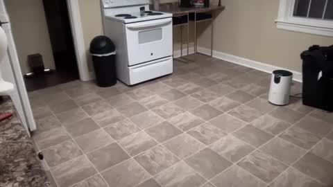 Snapshot of lilly_adams88 chatting on 02-21-25, 01:00 lilly_adams88 online show from 02-21-25, 01:00