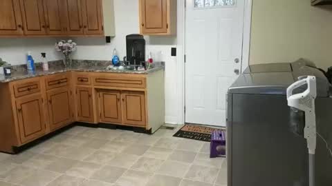 lilly_adams88 online show from 02-18-26, 11:55