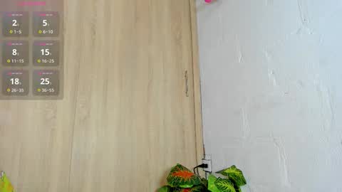   online show from 11-05-25, 06:08