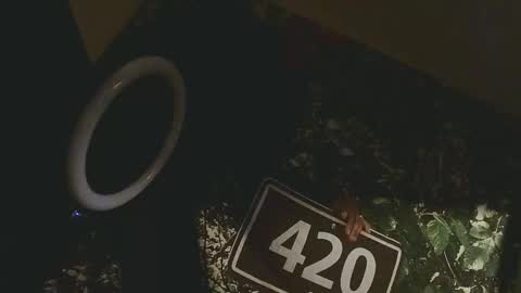 lilybvixen online show from 02-25-26, 04:55