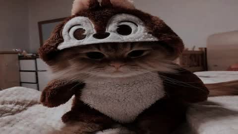 lina_ri online show from 08-09-26, 01:05