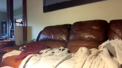 Snapshot of lincolnlongdick chatting on 12-06-24, 07:23 Richie Rich online show from 12-06-24, 07:23