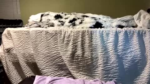 Snapshot of lincolnlongdick chatting on 12-13-24, 07:10 Richie Rich online show from 12-13-24, 07:10