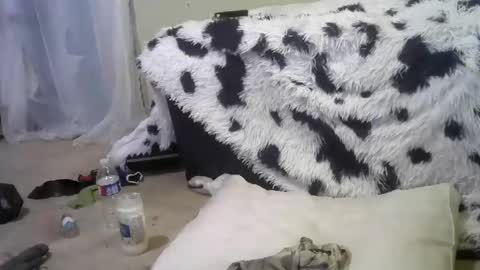 Snapshot of lincolnlongdick chatting on 02-18-25, 12:28 Richie Rich online show from 02-18-25, 12:28