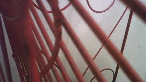 Snapshot of lincolnlongdick chatting on 10-11-25, 05:00 Richie Rich online show from 10-11-25, 05:00