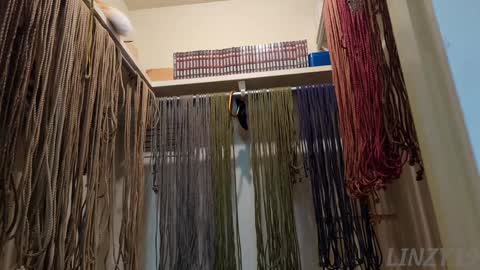 Linzy19 online show from 02-07-25, 03:01