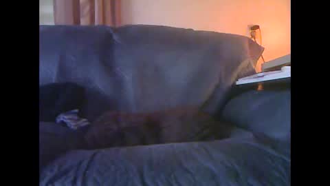 Snapshot of lion160868 chatting on 01-18-26, 09:13 lion160868 online show from 01-18-26, 09:13