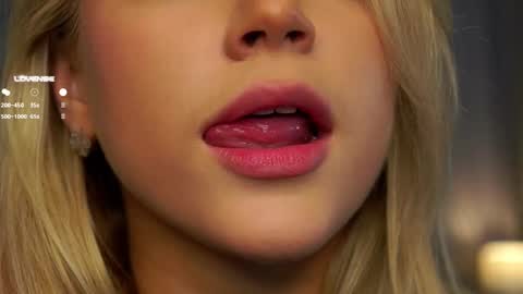 Snapshot of lipswithsmileonthem chatting on 02-27-25, 01:05 Amelia online show from 02-27-25, 01:05